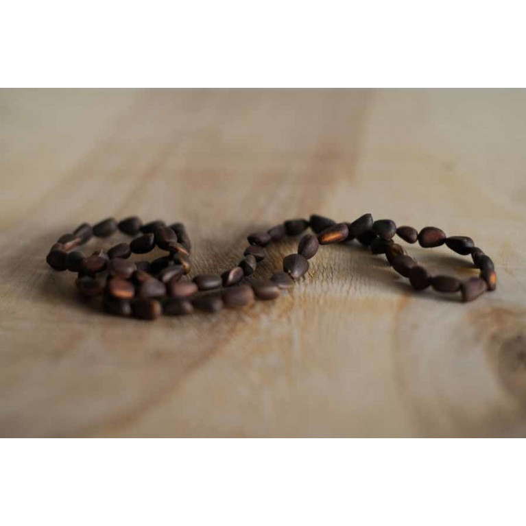 Кедр бусы кедровые 